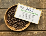 ***NEW***ブラジル・バイショ・ダ・セーラ農園/FAZENDA BAIXAO DA SERRA/ミディアム〜ハイロースト