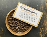 産地買付■グアテマラ・サンタ・アナ農園/ BOURBON /FW / ミディアム〜ハイロースト