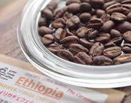 NEW！エチオピア/イリガチェフェ・グジ「ザ・セレモニー」G1 WASHED/ミディアム〜ハイロースト